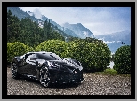 Bugatti La Voiture Noire